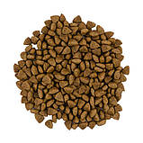 Сухий корм для стерилізованих котів Savory Adult Cat Steril Fresh Lamb and Chicken 8 кг., фото 3