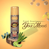 Парфумований дезодорант для чоловіків Parfums Parour El Paso 250 мл, фото 2