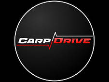  CARP DRIVE