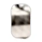 Дзеркало Art in Head 100 Swan 600x1000x10 Білий супермат (AG09010000000)