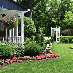 Комплексний догляд за молодим садом наприкінці весни та на початку літа: мульчування та підживлення рослин