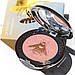 Рум'яна з ефектом сяйва Chantecaille Philanthropy Cheek Shade Compact Bee Emotion 2.5 г, фото 5