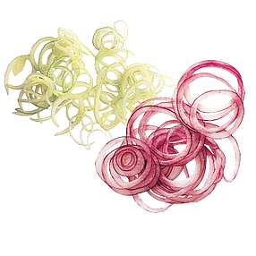 Диск слайсер 1 мм для овочерізки Robot Coupe CL50, 52, 60 (28062, E/S 1), фото 2