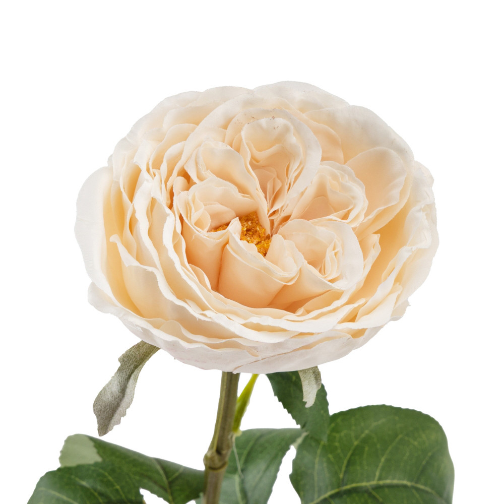 Штучна троянда півонієвидна "Леонора", кремова, 67 см ELISEY, фото 1