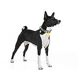 Нашийник для собак нейлоновий WAUDOG Nylon з QR паспортом, малюнок "Рік та Морті 1", пластиковий фастекс, L, Ш, фото 5