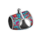 Шлея для собак м'яка WAUDOG Clothes з QR паспортом, малюнок "Літо", S1, В 40-45 см, С 29-31 см, фото 3