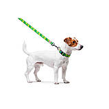 Повідець для собак нейлоновий WAUDOG Nylon, малюнок "Авокадо", Ш 20 мм, Дов 122 см, фото 3