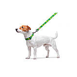 Повідець для собак нейлоновий WAUDOG Nylon, малюнок "Авокадо", Ш 20 мм, Дов 122 см, фото 4