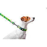 Повідець для собак нейлоновий WAUDOG Nylon, малюнок "Авокадо", Ш 20 мм, Дов 122 см, фото 5