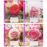 Від 16 шт. Зошит кольоровий 48 аркушів, клітинка 3781 D  купити дешево оптом в інтернет-магазині