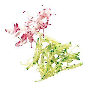 Диск соломка 2 мм J2X2 для овочерізки Robot Coupe CL 20, CL 30, CL 40, R 211, R 301, R 402 (27599), фото 2