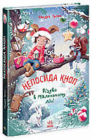 Непосида Кноп. Різдво в Маленькому лісі / Грімм Сандра / РАНОК