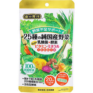 Nippon Yakken 25 видів овочів, молочнокислі бактерії, ферменти, вітаміни та мінерали, 60 капсул
