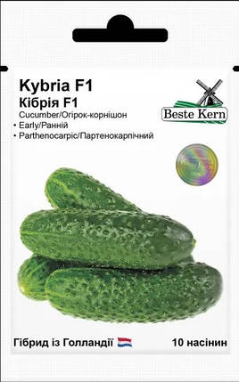 Насіння огірків Кибрия F1 10 шт, Імперія насіння, фото 1