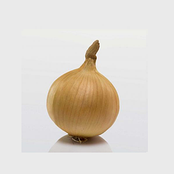 Цибуля сівок Радар Ф1 Broer B.V. 100г