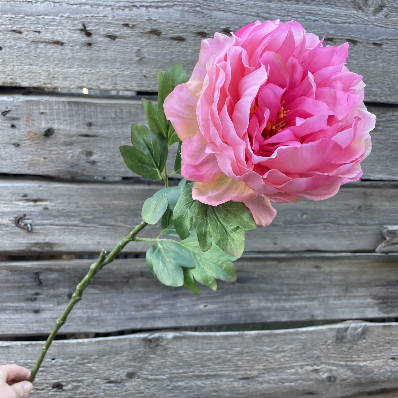 Штучні квіти гілка півонії 70 см, фото 1