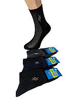 Шкарпетки чоловічі 12 пар літні сітка бавовна Житомир розмір 27 (41-43) мікс кольорів