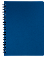 Блокнот, Тетрадь для записей STATUS, L2U, А4, 80 л., клетка, пластиковая обложка (BM.24452153-53)