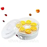 Електросушарка Zepline 800Вт Електросушка для фруктів Електрична сушарка на 5 піддонів К2, фото 2