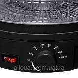 Електросушарка Zepline 800Вт Електросушка для фруктів Електрична сушарка на 5 піддонів К2, фото 3