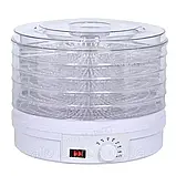 Електросушарка Zepline 800Вт Електросушка для фруктів Електрична сушарка на 5 піддонів К2, фото 4