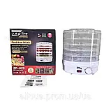 Електросушарка Zepline 800Вт Електросушка для фруктів Електрична сушарка на 5 піддонів К2, фото 6