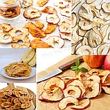 Електросушарка Zepline 800Вт Електросушка для фруктів Електрична сушарка на 5 піддонів К2, фото 8