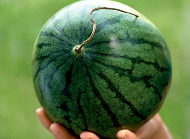 Опис: 160810.jpg