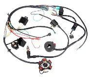 Проводка ATV 50/110 (у зборі) FLD