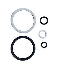 Набір сальників для ремонту ПГР-S240-300 Ny95502235