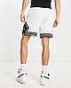 Літні чоловічі спортивні шорти Jordan Diamond Dri-Fit White шорти Білі Джордан з кишенями 100% поліестер, фото 8