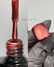 Гель-лак DANNY Glass cat eye №13 8 ml Осінь