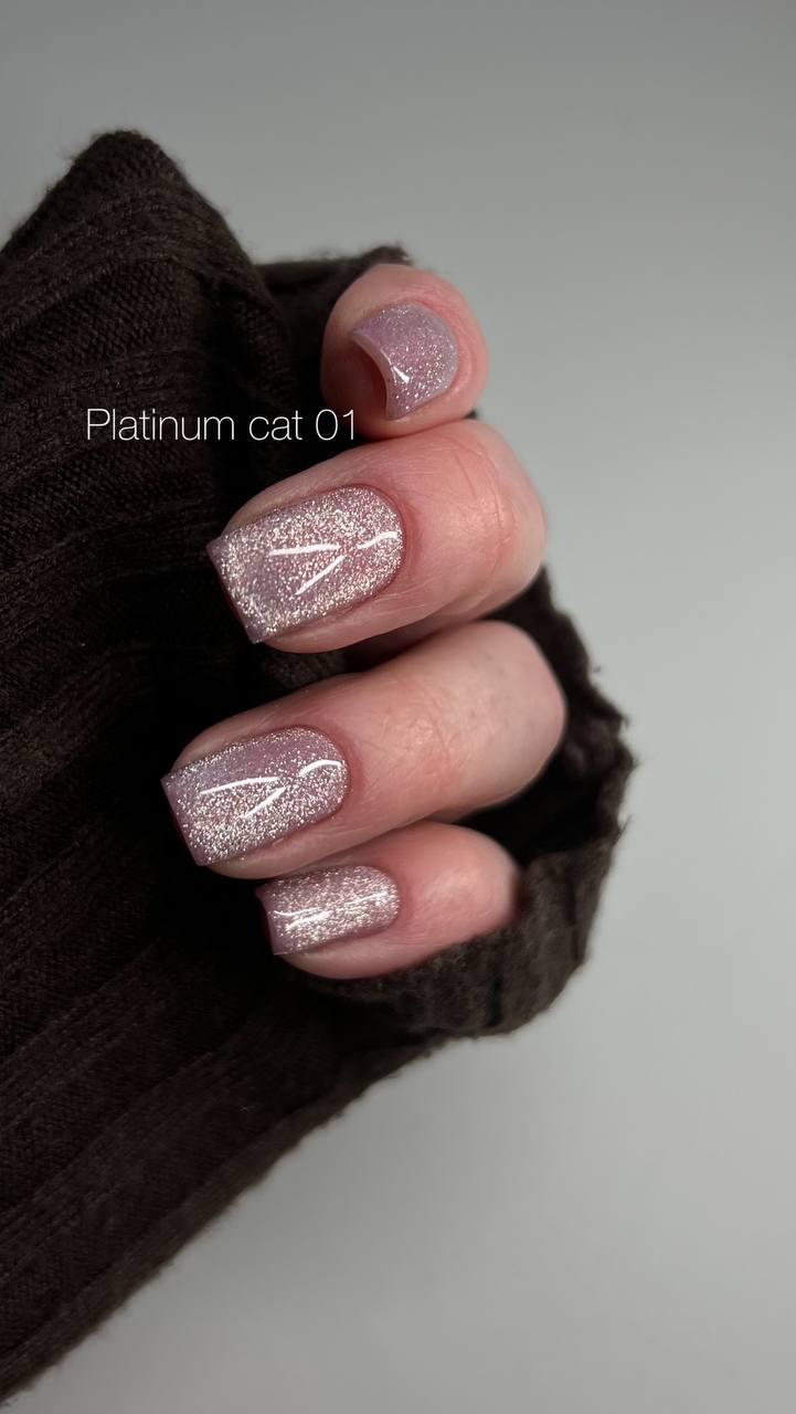 Гель-лак DANNY Platinum cat eye №01 8 ml