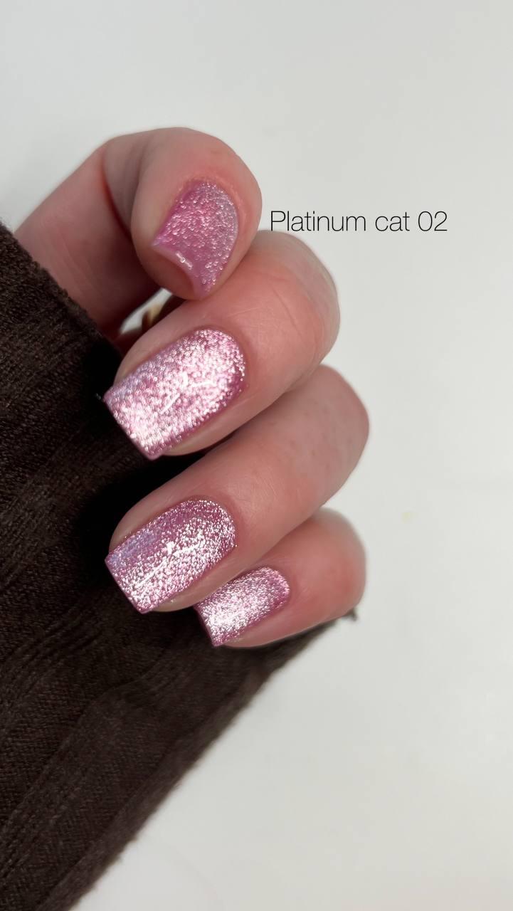 Гель-лак DANNY Platinum cat eye №02 8 ml, фото 1