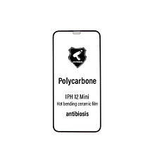 Захисна плівка iPhone 12 mini 5.4 (3D, чорна) Polycarbone