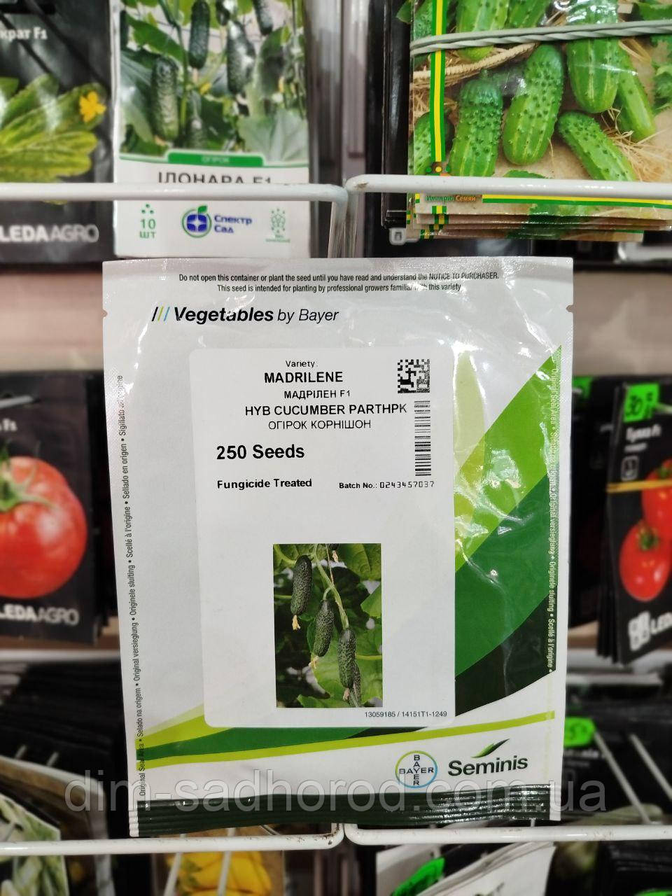 Огірок Мадрілен F1, 250 шт, фото 1