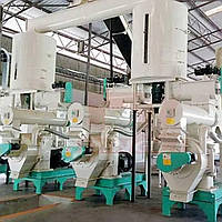 Прес-гранулятор з кільцевої матрицею для тирси DINGLI