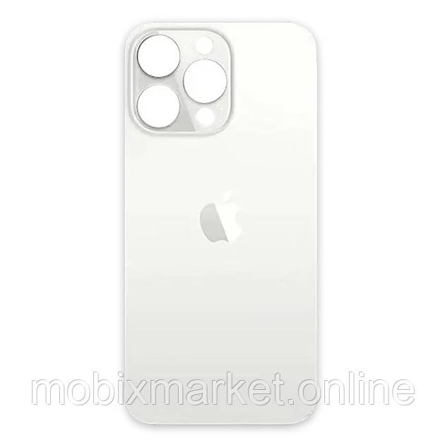 Задня кришка (скло) iPhone 13 Pro silver (big hole)