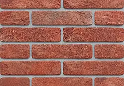 Клінкерні термопанелі Cherry Katerynoslav Brick