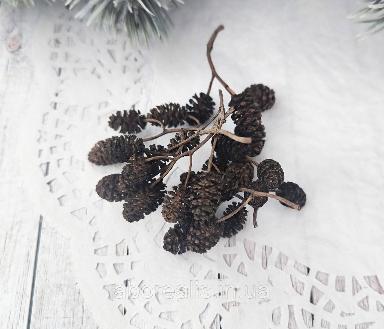 Шишки вільхи натуральні 1-2 см (20 гр), фото 1