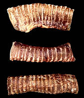 1кг. Говяжья трахея 5-10см (натуральное лакомство для собак)