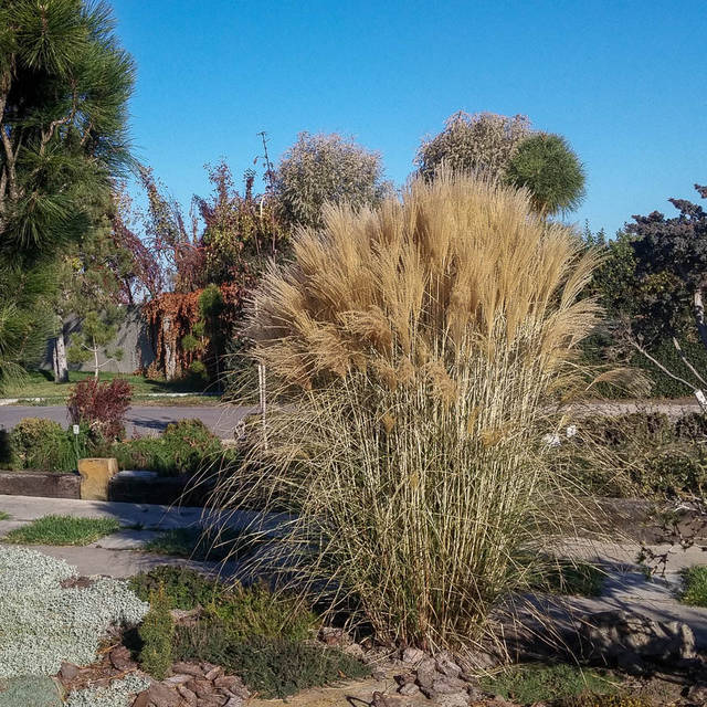 Қабылдауда дәрігерлермен порно