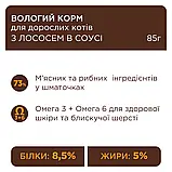 Клуб 4 лапи пауч з лососем у соусі для котів 100г (Club 4 Paws Premium With Salmon), фото 4