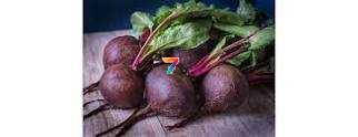 Буряк Червона куля