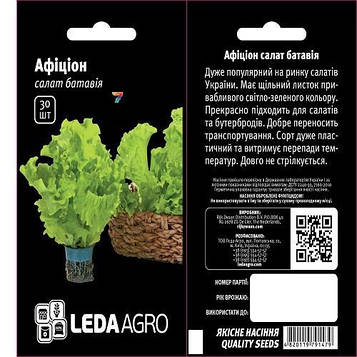 Салат Батавія афіціон 100 шт