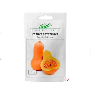 Гарбуз Баттернат 2г