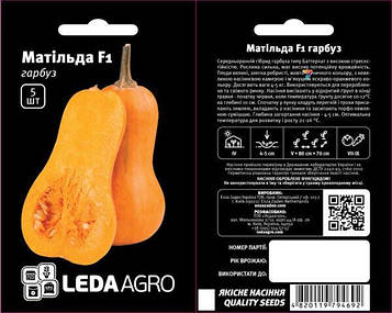 Гарбуз Матільда F1 5 шт