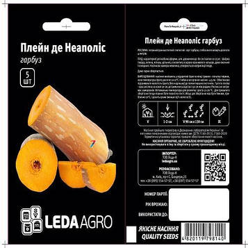 Гарбуз Плейн де Неаполис 30шт