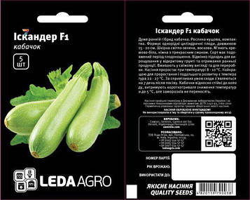 Кабачок Іскандер f1 5 шт