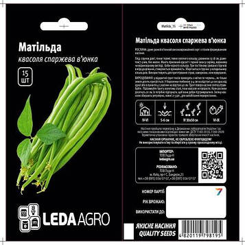 Квасоля Спаржева матільда 15шт